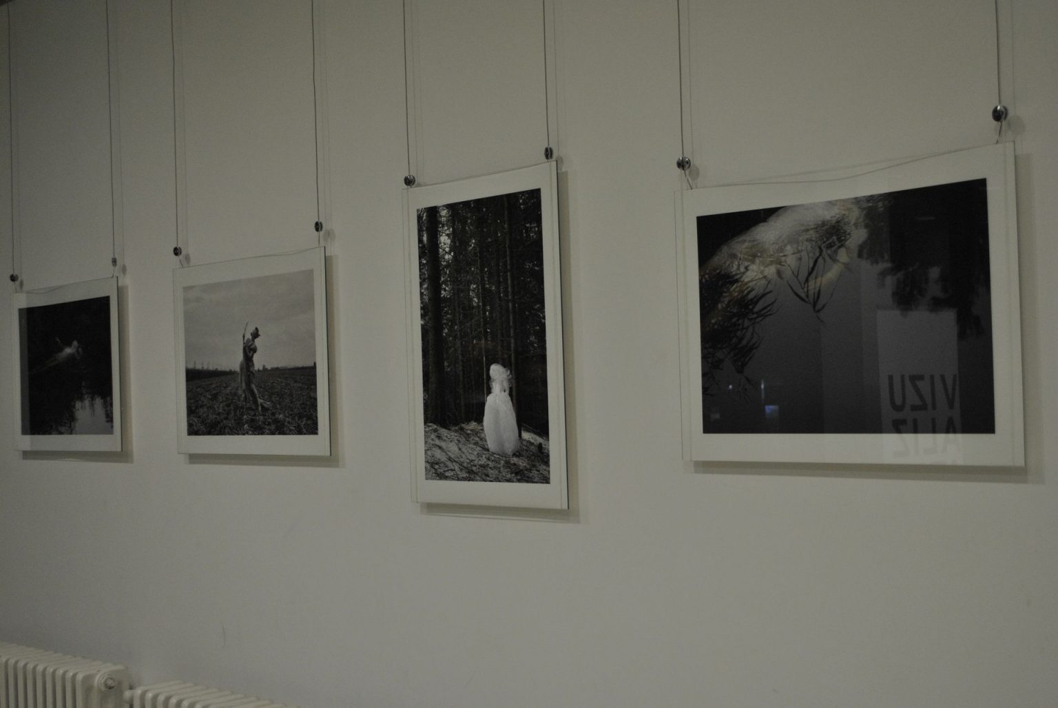 ФЕСТИВАЛ ФОТОГРАФИЈЕ „ВИЗУАЛИЗАТОР“ Izlozba Vizualizator