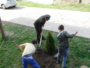 Sadnice za OS Kralj Petar Karadjordjevic