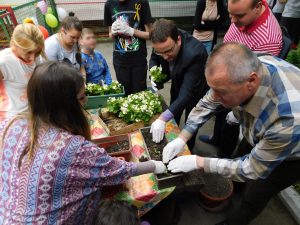 Sadnja cveca Dusan Dugalic