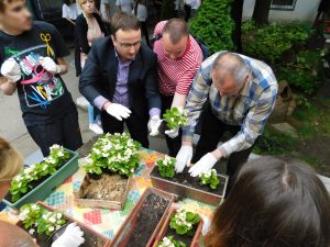 Sadnja cveca Dusan Dugalic