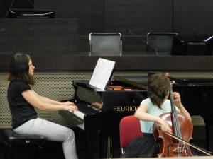 Koncert MS Stankovic