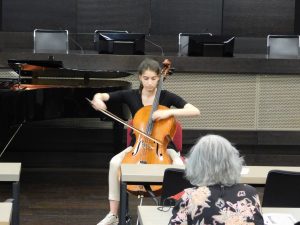 Koncert MS Stankovic