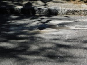 Parking servis postavljanje senzora