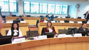 Misija komiteta pri EU