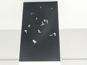 Izložba ljucko teleo