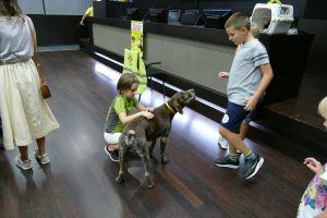 Obuka spasavanja životinja