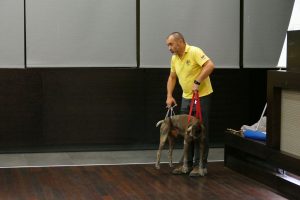 Obuka spasavanja životinja