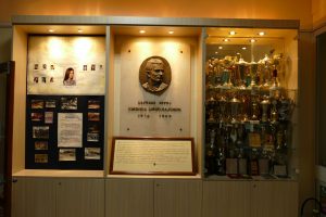 dan skole Sinisa Nikolajevic