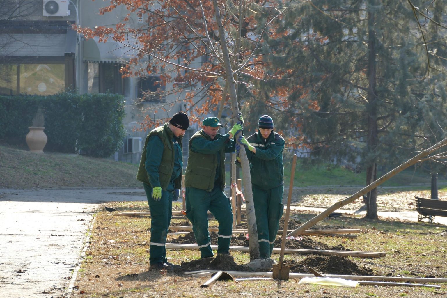 САДЊА НОВИХ СТАБАЛА У КАРАЂОРЂЕВОМ ПАРКУ Sadnja stabala u Karadjordjevom parku
