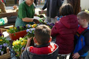 Sadnja cveća u okviru Evropske nedelje lokalne demokratije