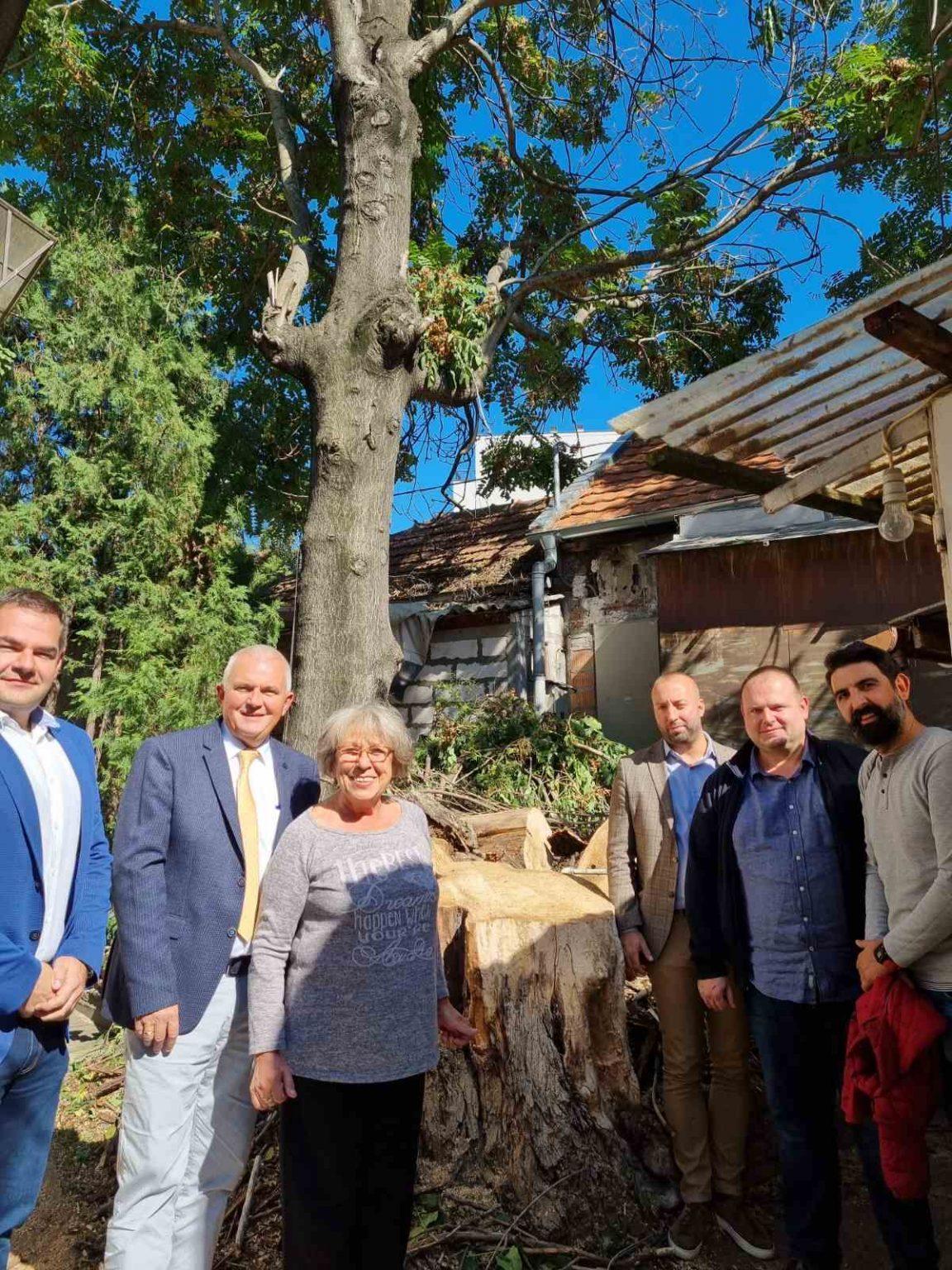 UKLONJENO STABLO KOJE JE BILO PRETNJA PO BEZBEDNOST Uklonjeno stablo