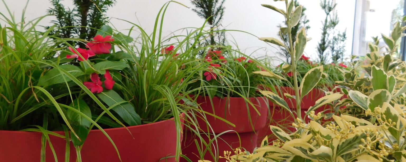 „VRAČAR – MOJ ZELENI KUTAK“